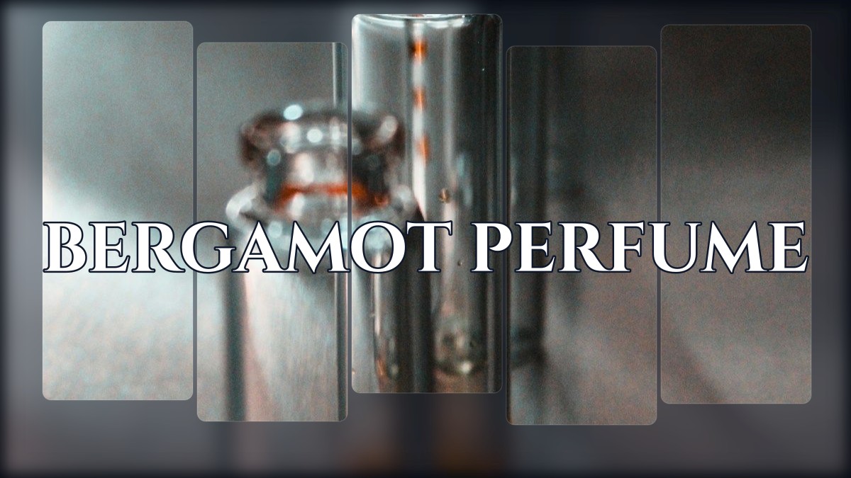 bergamot perfume