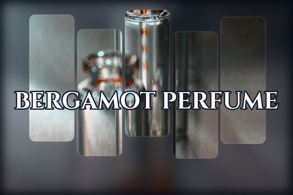 bergamot perfume