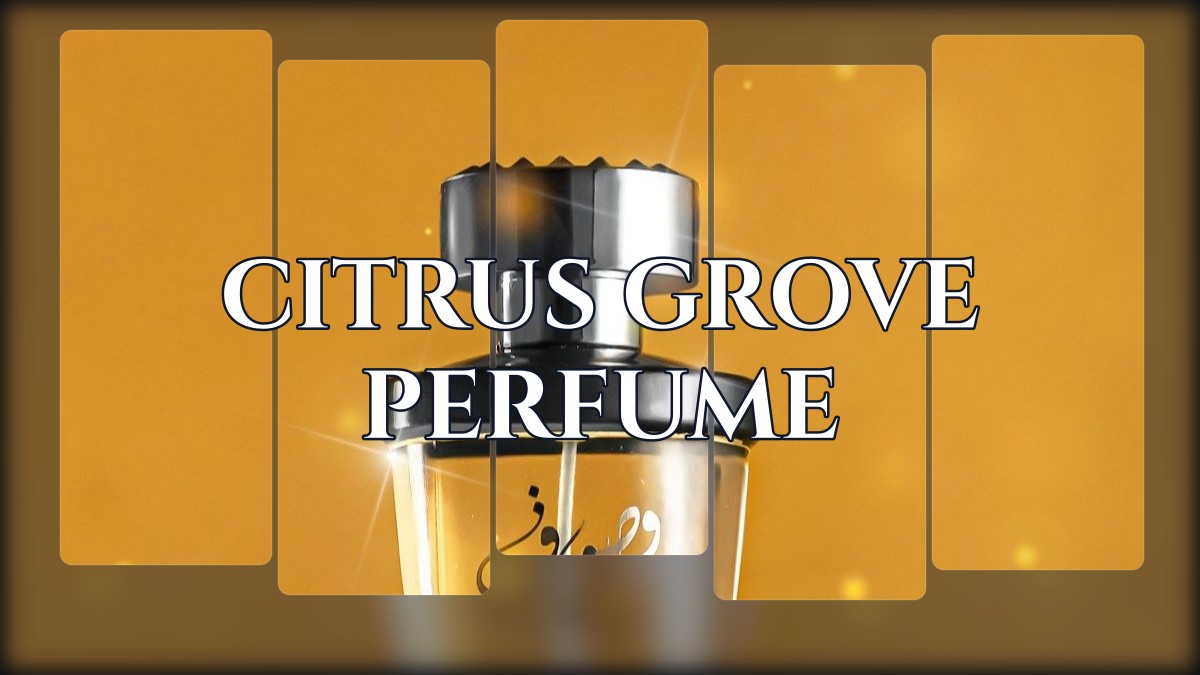 citrus grove perfume