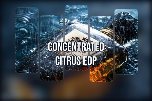 concentrated citrus edp