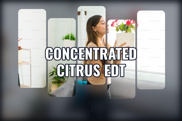 concentrated citrus edt