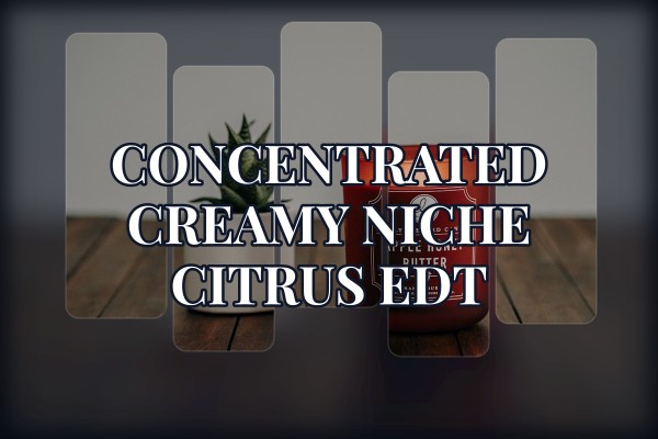 concentrated creamy niche citrus edt