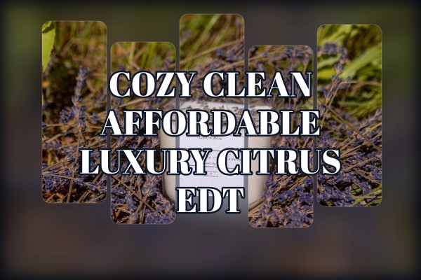 cozy clean affordable luxury citrus edt