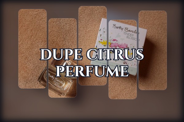 dupe citrus perfume