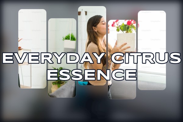 everyday citrus essence