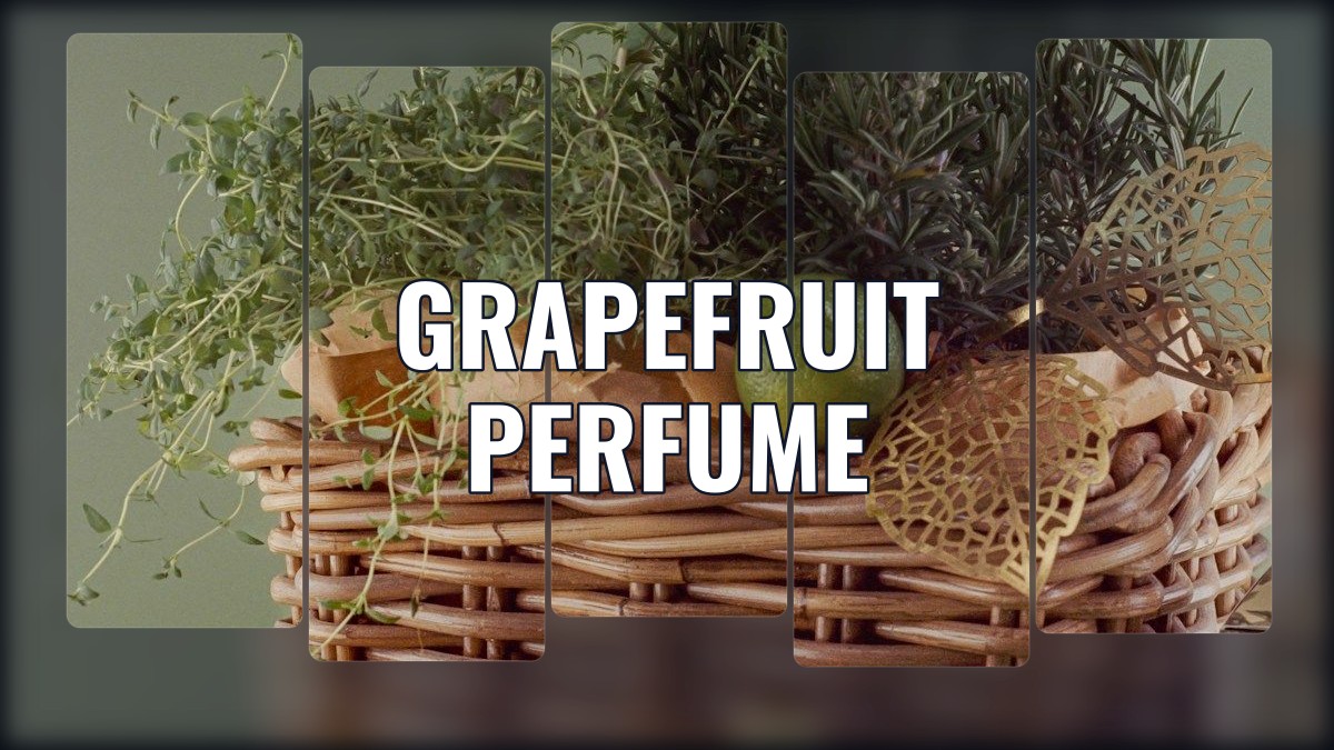 grapefruit perfume