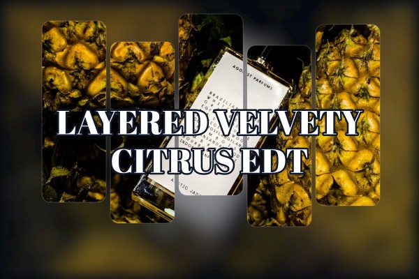 layered velvety citrus edt