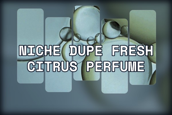 niche dupe fresh citrus perfume