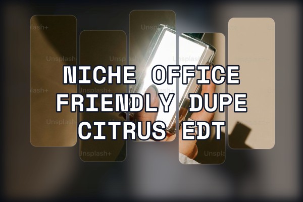 niche office friendly dupe citrus edt