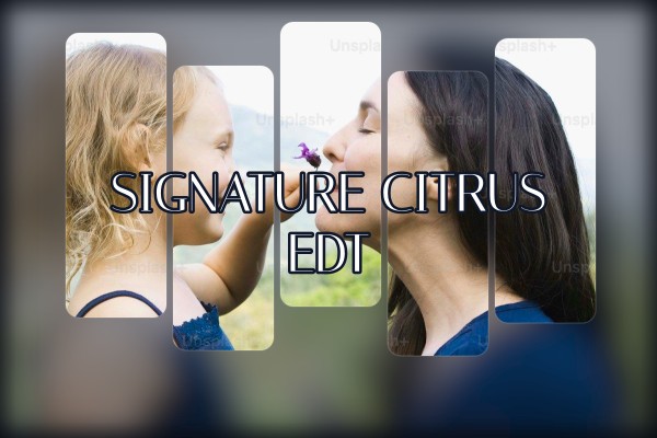 signature citrus edt