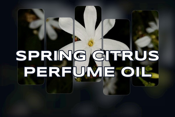 spring citrus perfume oil