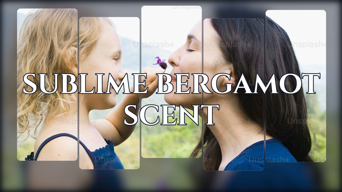 sublime bergamot scent