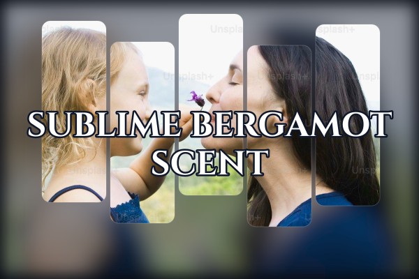 sublime bergamot scent
