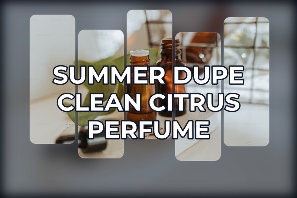 citrus grove perfume