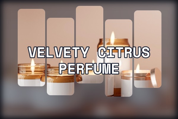 velvety citrus perfume