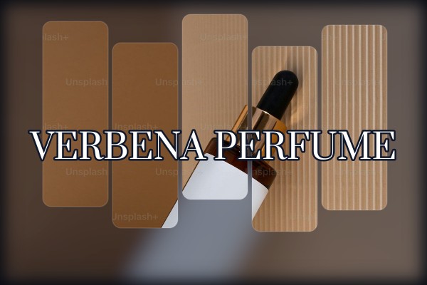 citrus grove perfume